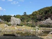 摩訶耶寺　庭園